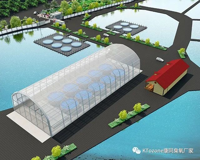 臭氧在水產(chǎn)養(yǎng)殖中的應用